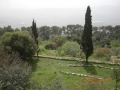 DSCN8208