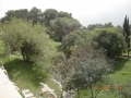 DSCN8210
