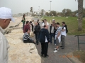 DSCN8223