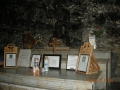 DSCN8260