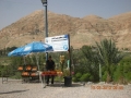 DSCN8365