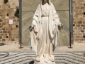 IMG_7648.JPG